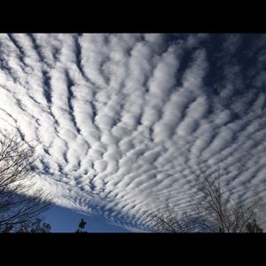 Meet your Posher, Donya