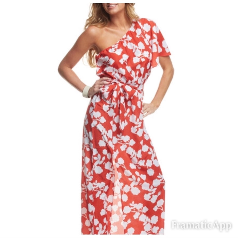 Mudpie dress