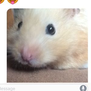 Meet your Posher, Kahki