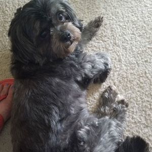 Meet your Posher, Tyira