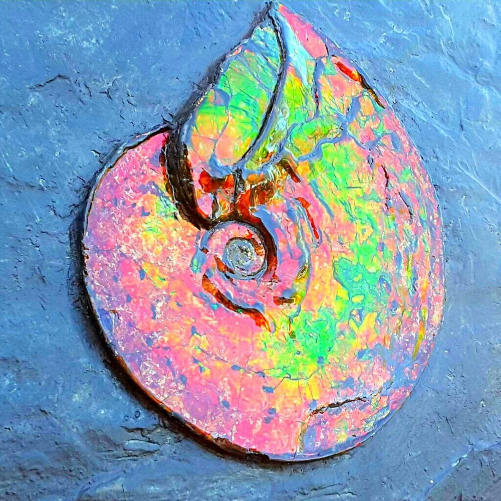 RARE CERTIFIED KORITE CANADA FOSSIL AMMONITE Decor