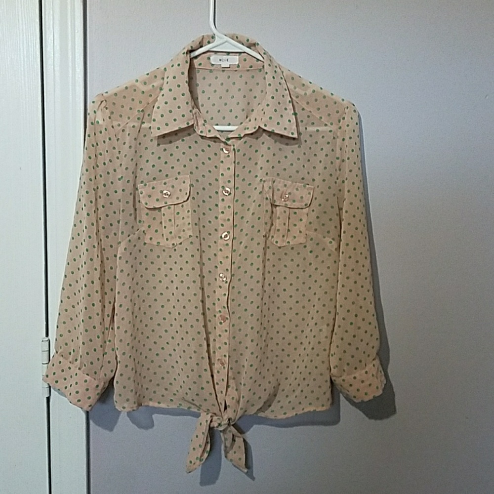 Button Down Shirt