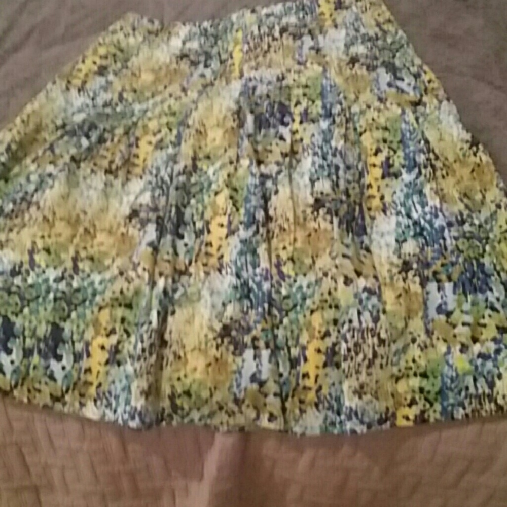 Talbots Full/Pleated Skirt