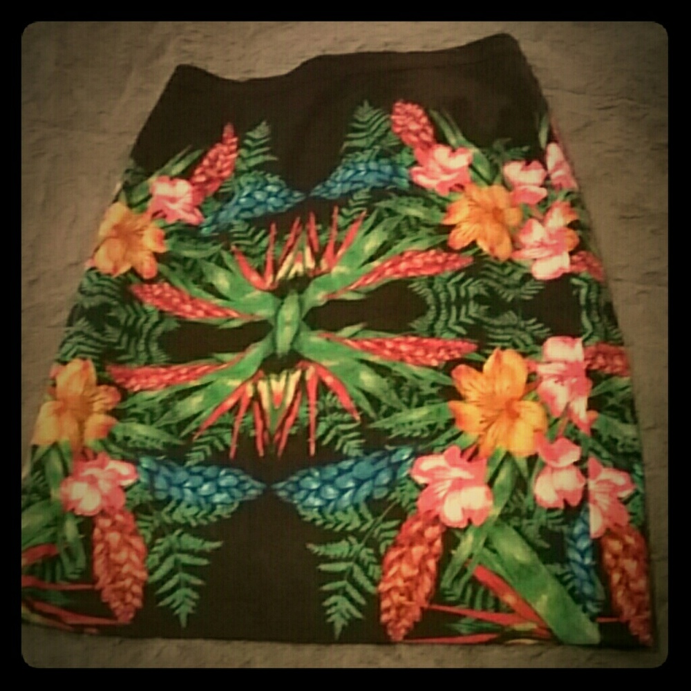 Linea Domani Pencil Skirt