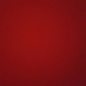 Meet your Posher, Diego