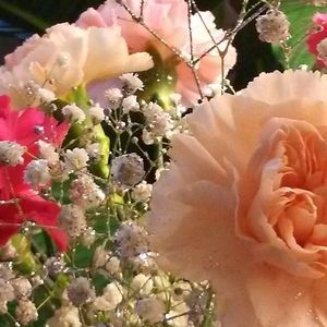 Meet your Posher, Nancy