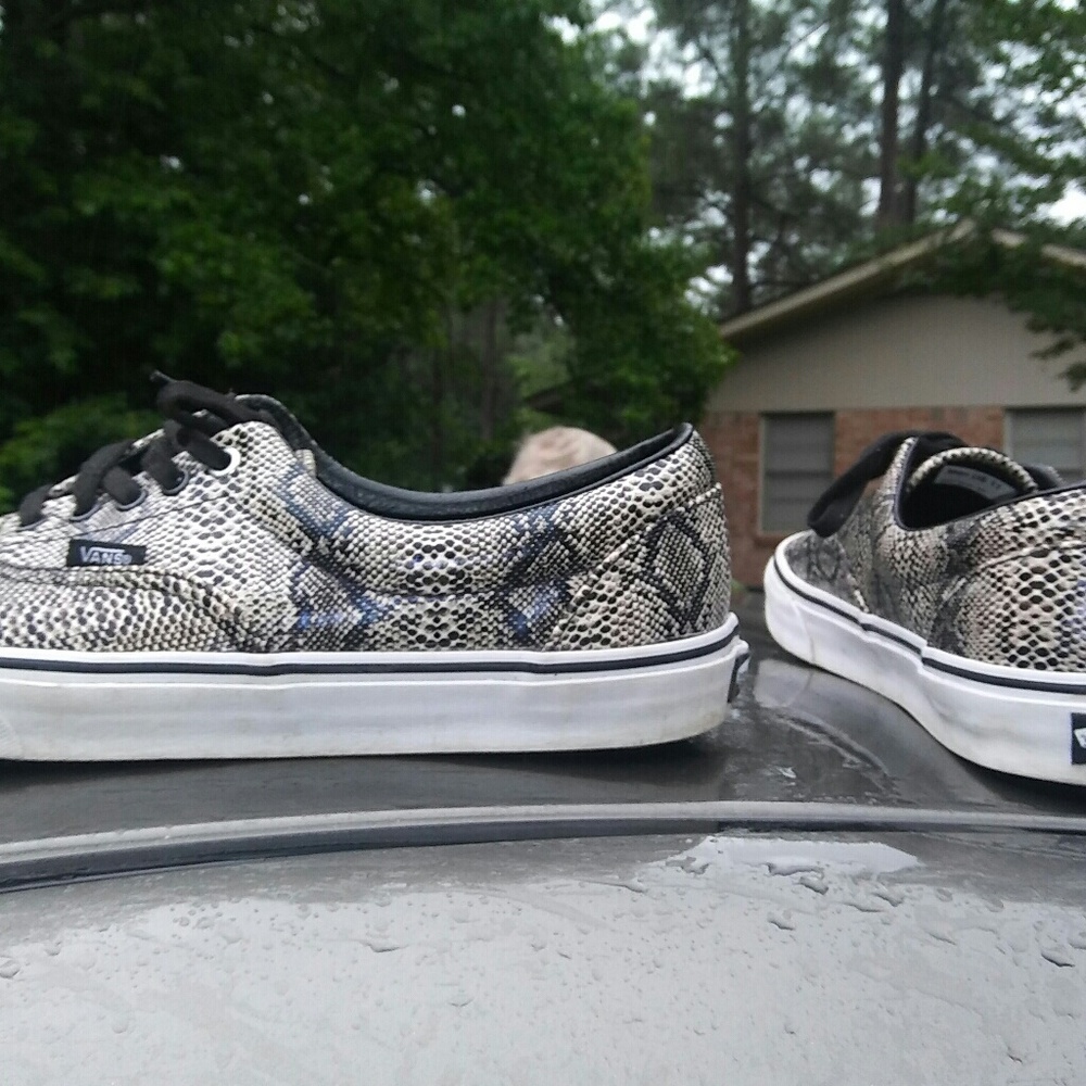 Mens Grey And Black Snake Skin Vanz size 11