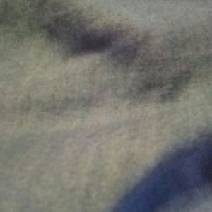 Meet your Posher, Ella