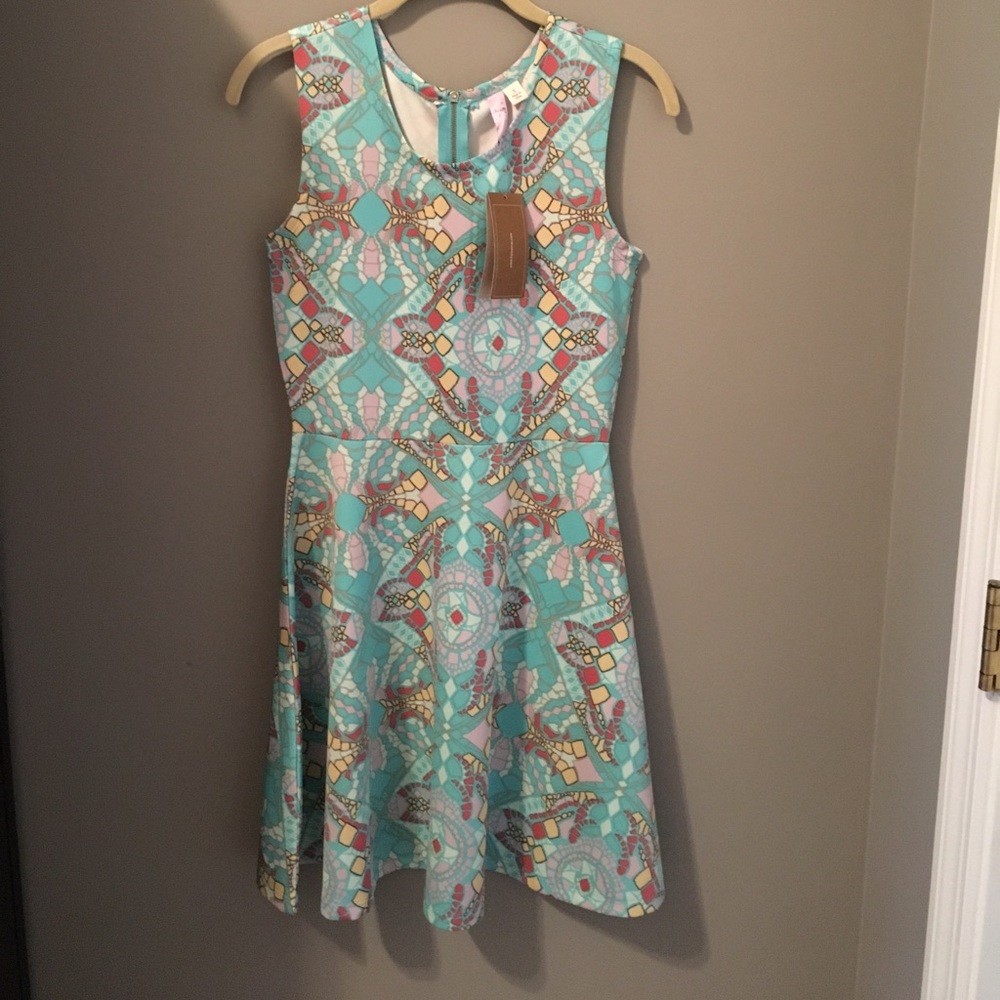 NWT Francesca's Dress