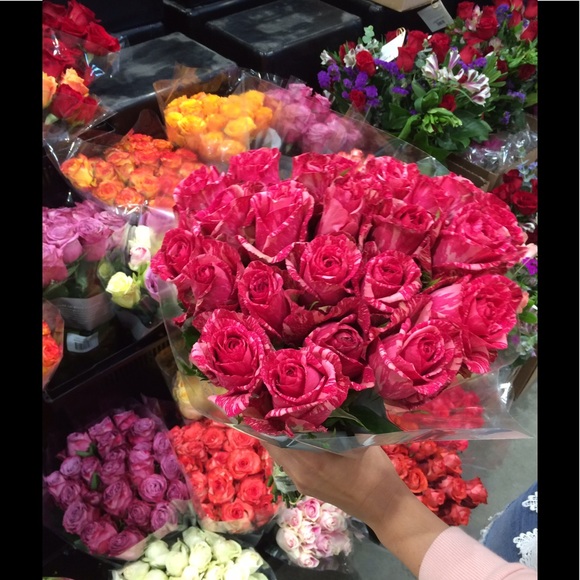 Meet your Posher, Rachel - Picture 2 of 5