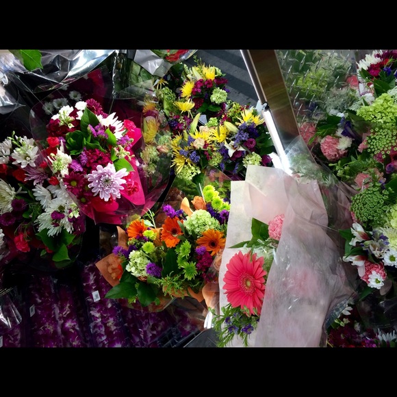 Meet your Posher, Rachel - Picture 4 of 5