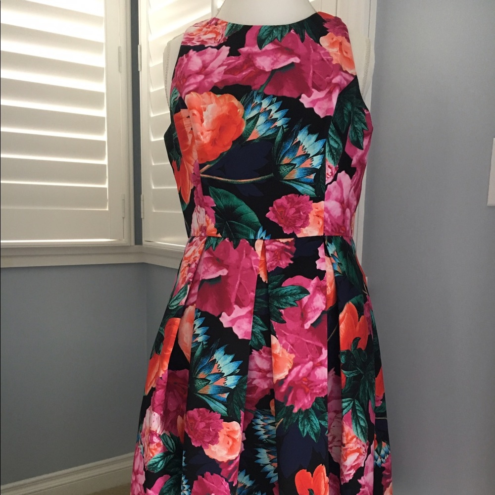 Eliza J fit and flare dress