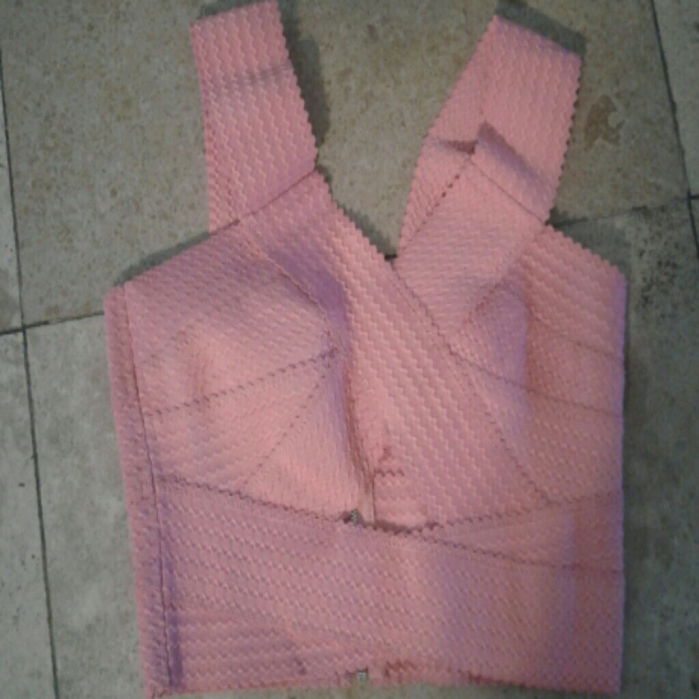 Charlotte Russ pink crop top