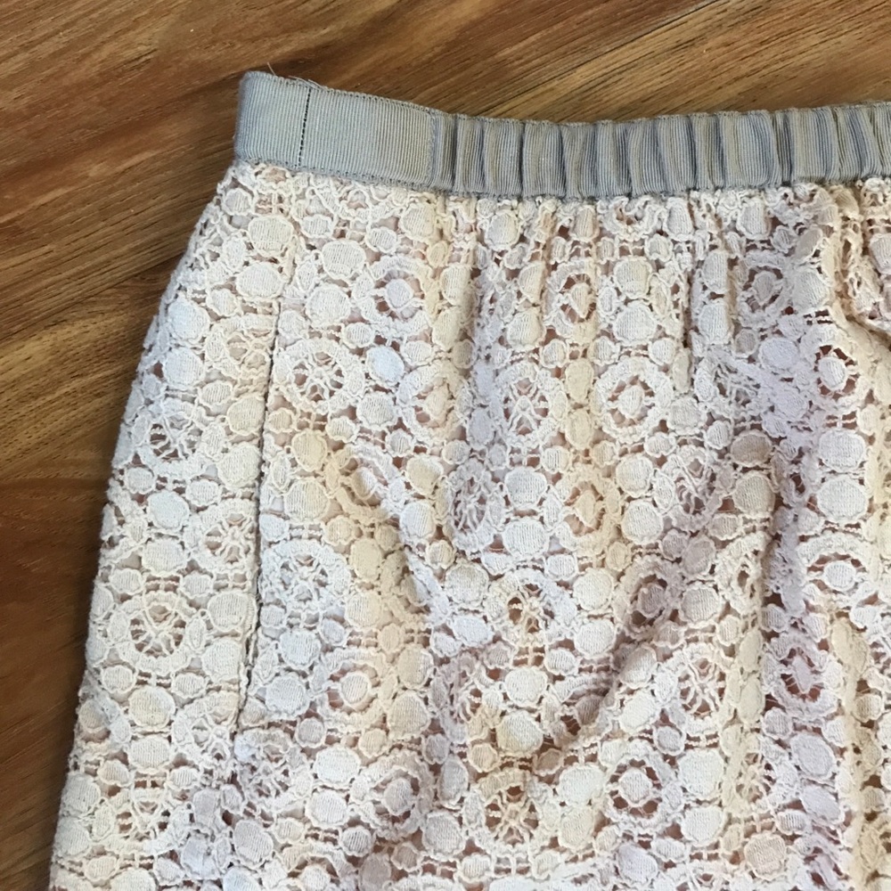 JCrew Pink Lace Skirt