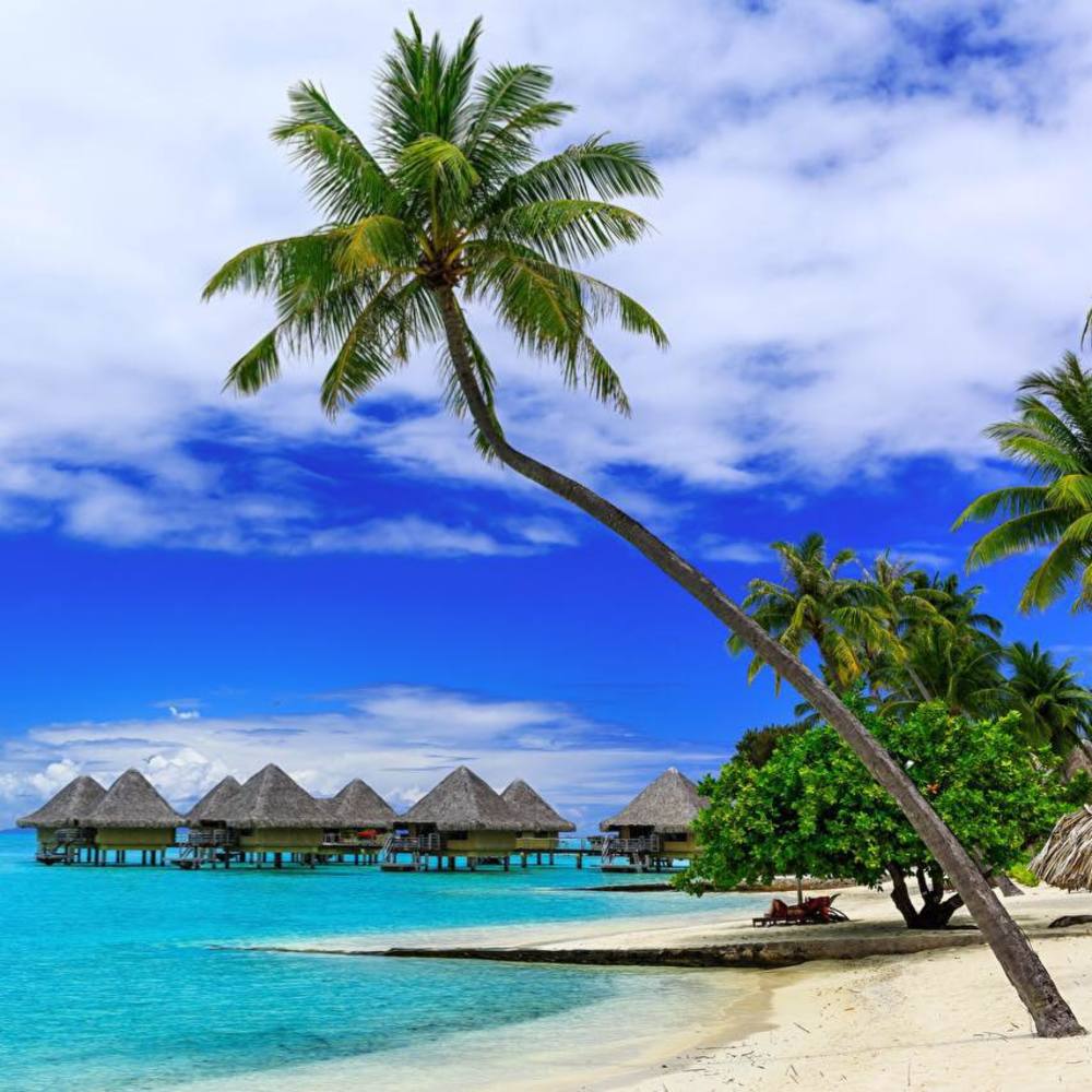 Meet your Posher, Traci