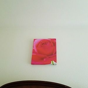 Meet your Posher, Jayson