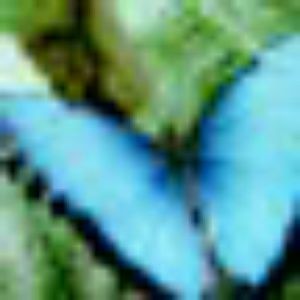 Meet your Posher, Polly