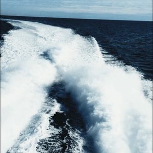 Meet your Posher, Carly