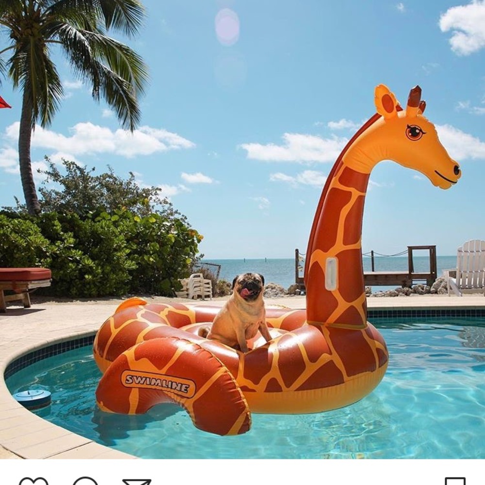 Meet your Posher, Michelle