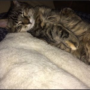 Meet your Posher, Payton