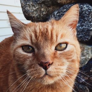 Meet your Posher, Pete
