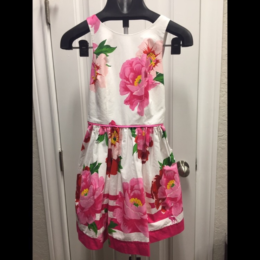 Abercrombie Pink Floral Dress. BNWT, never worn.