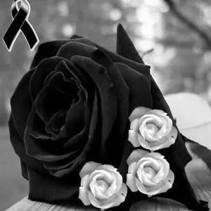 Meet your Posher, Elia