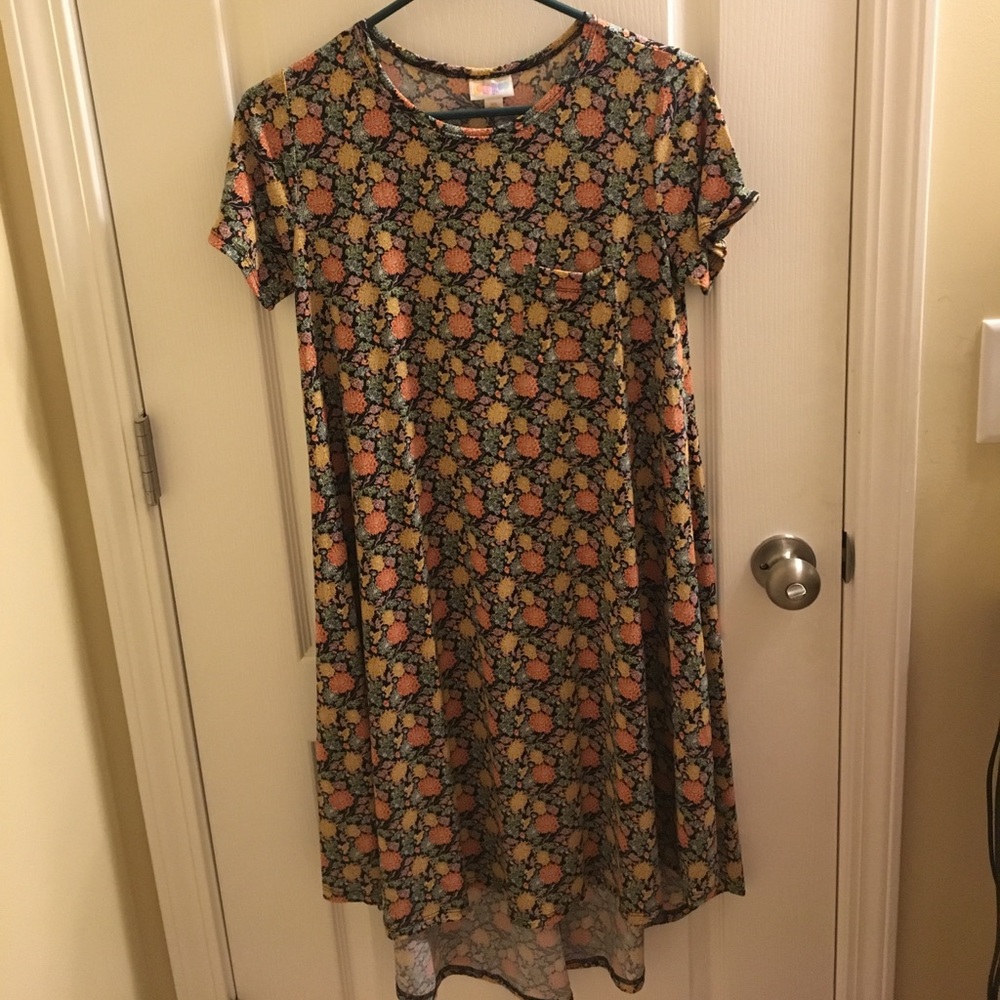 Lularoe Carly dress