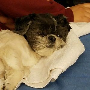 Meet your Posher, Marlene