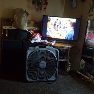 Meet your Posher, Judith