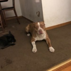 Meet your Posher, Rene