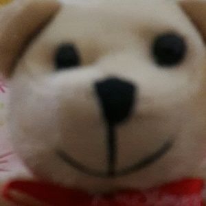 Meet your Posher, Gladys