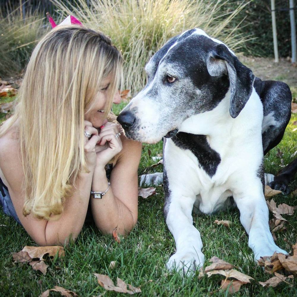 Meet your Posher, Wendy