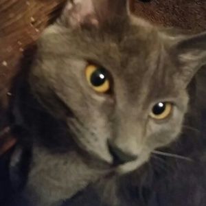 Meet your Posher, Geraldine