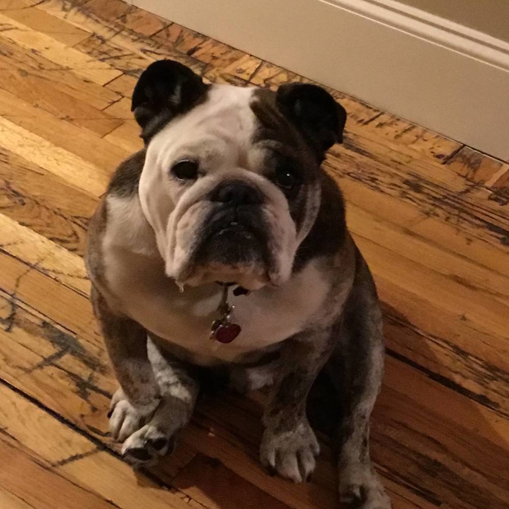 Meet your Posher, Renee