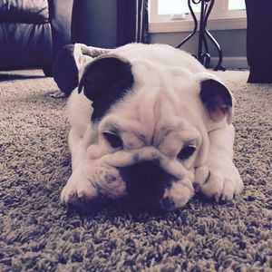 Meet your Posher, Farrah