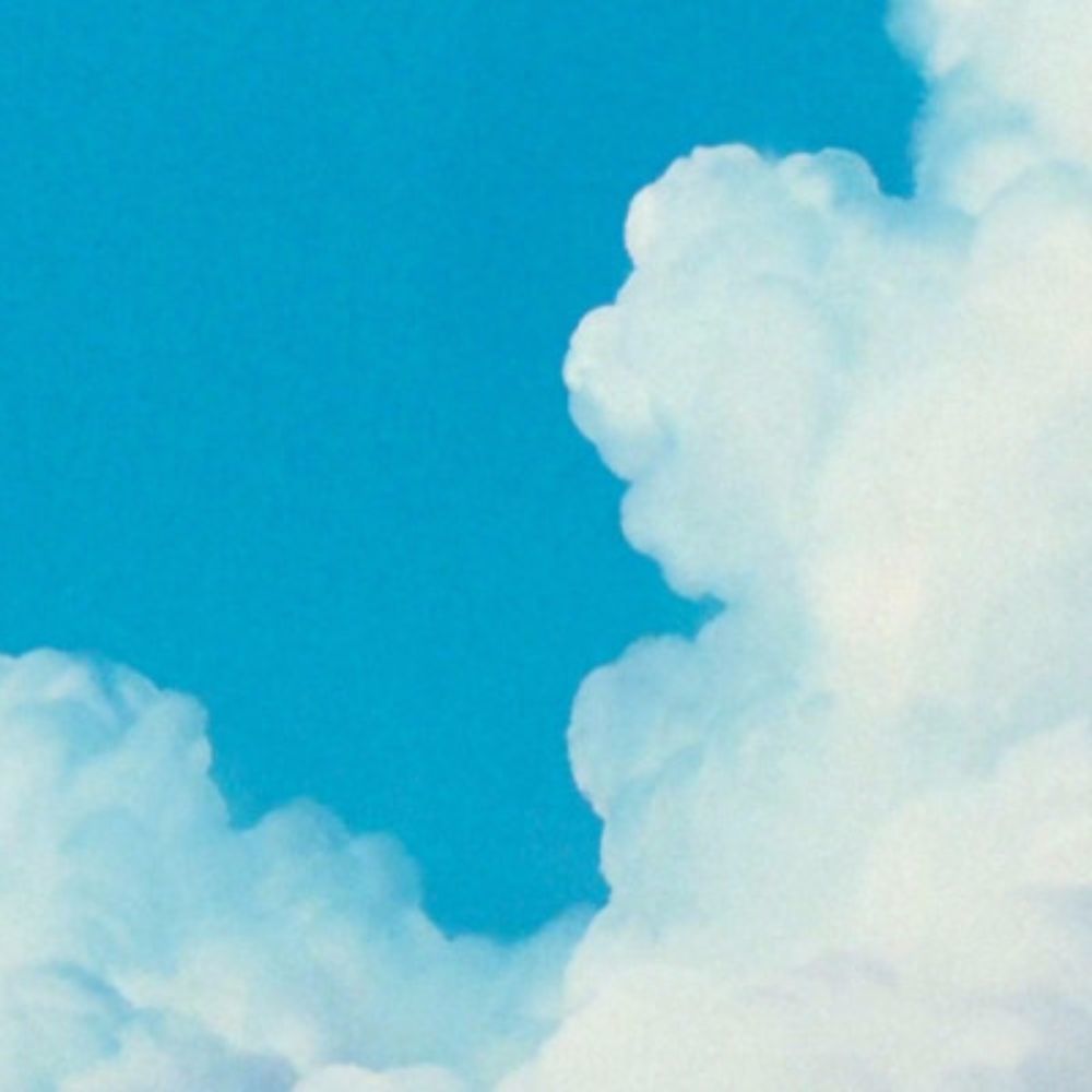 Meet your Posher, Irene