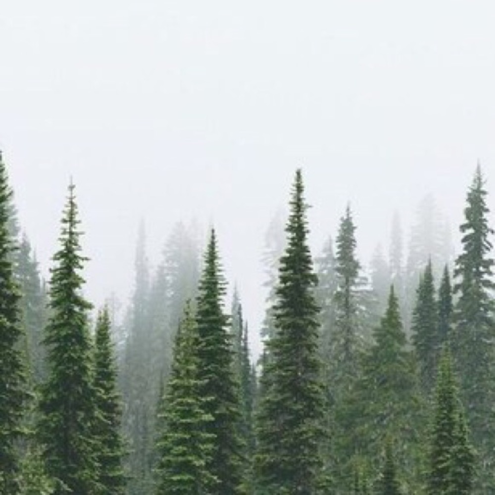 Meet your Posher, Christa