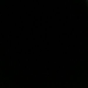 Meet your Posher, Shakell