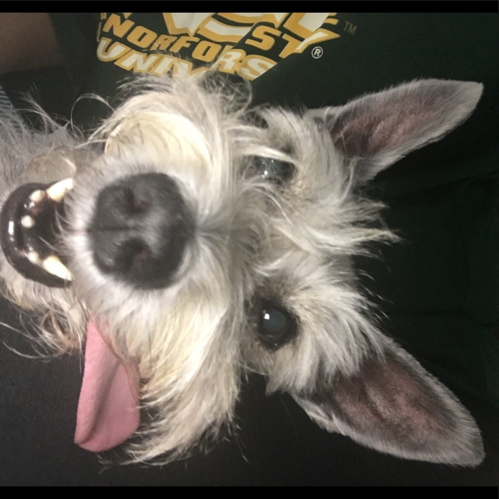 Meet your Posher, Diana