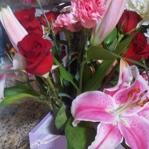 Meet your Posher, Patty