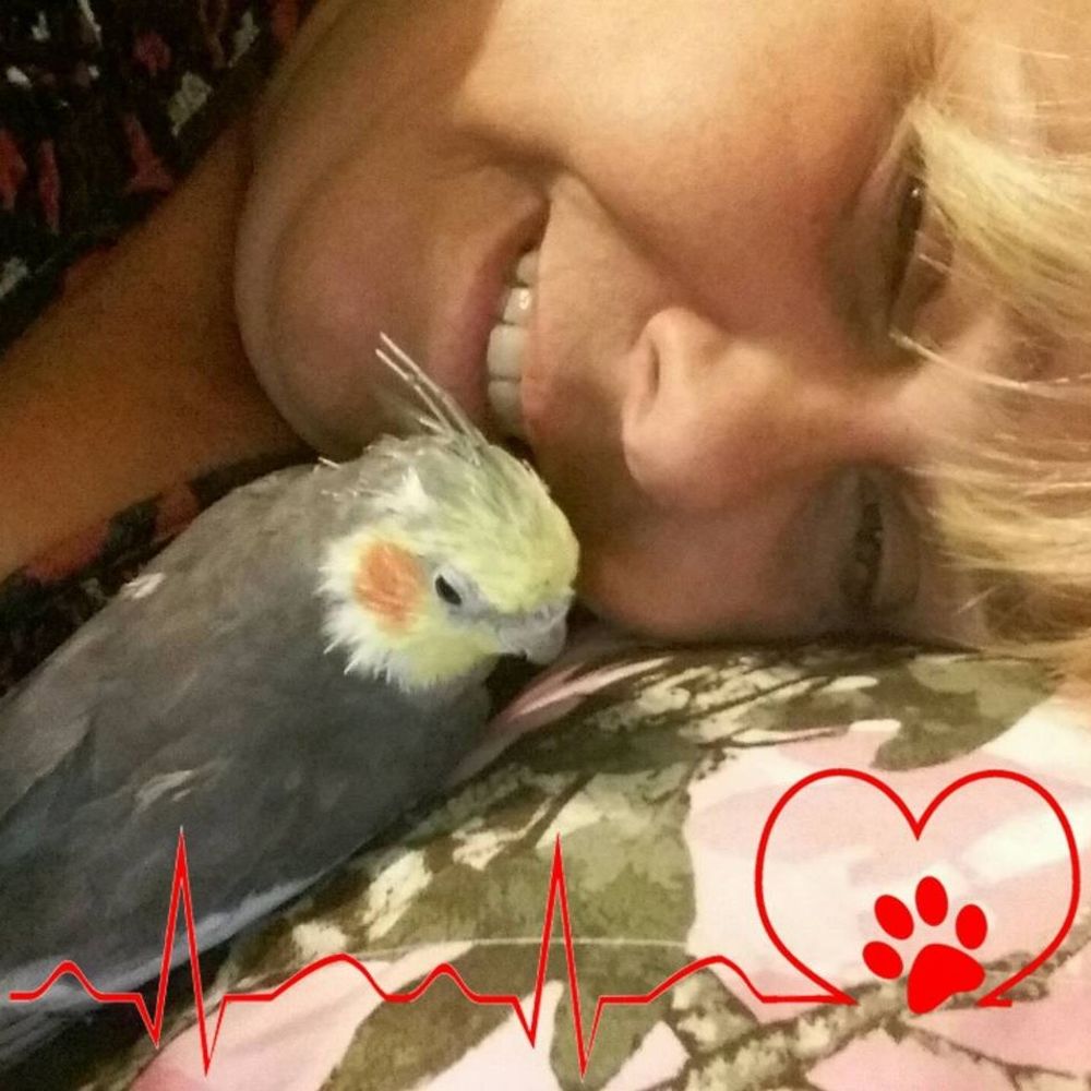 Meet your Posher, Tammy