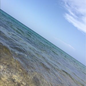 Meet your Posher, Remi