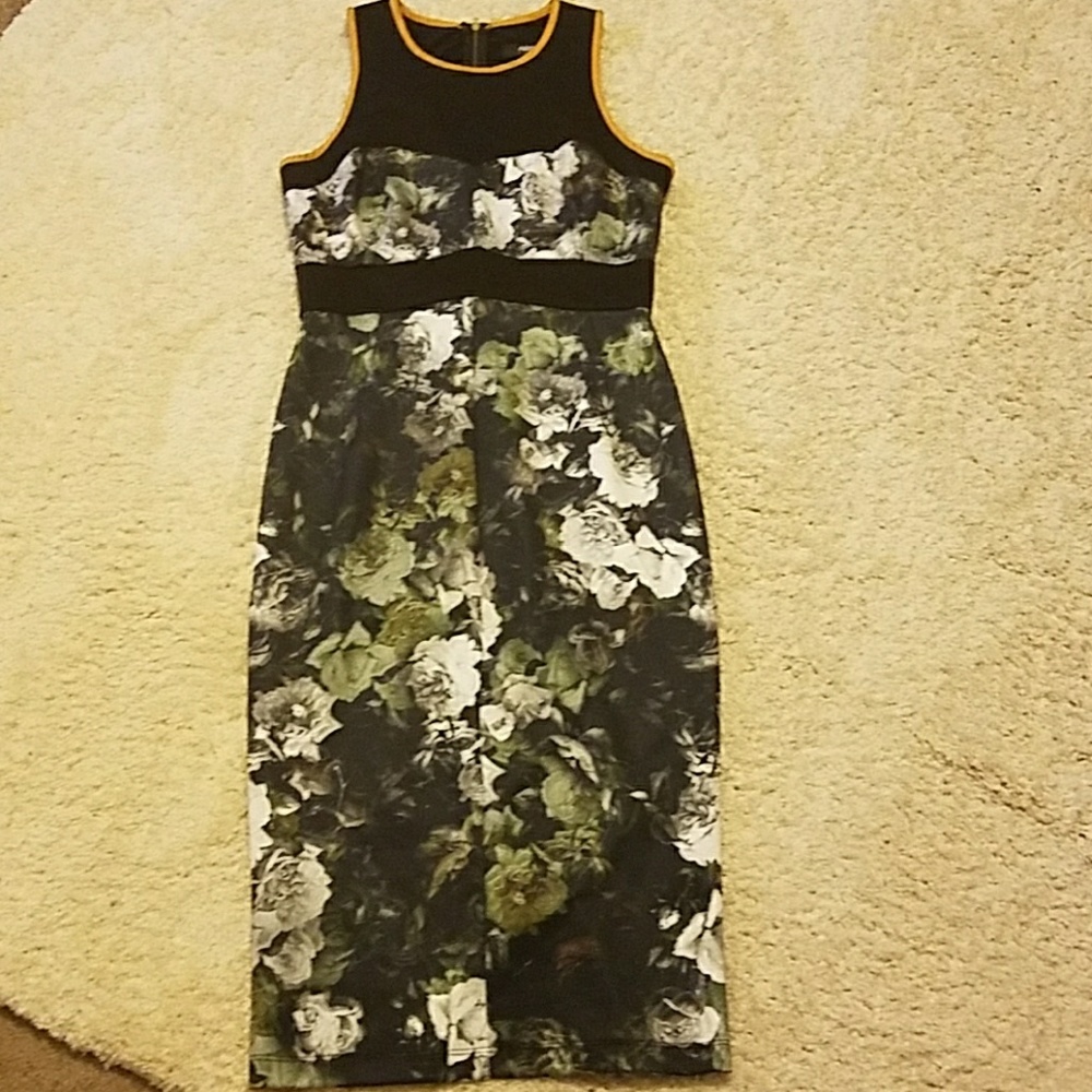 Abs Floral Sheath Dress