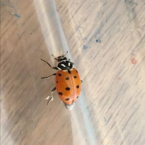 Meet your Posher, Kathy