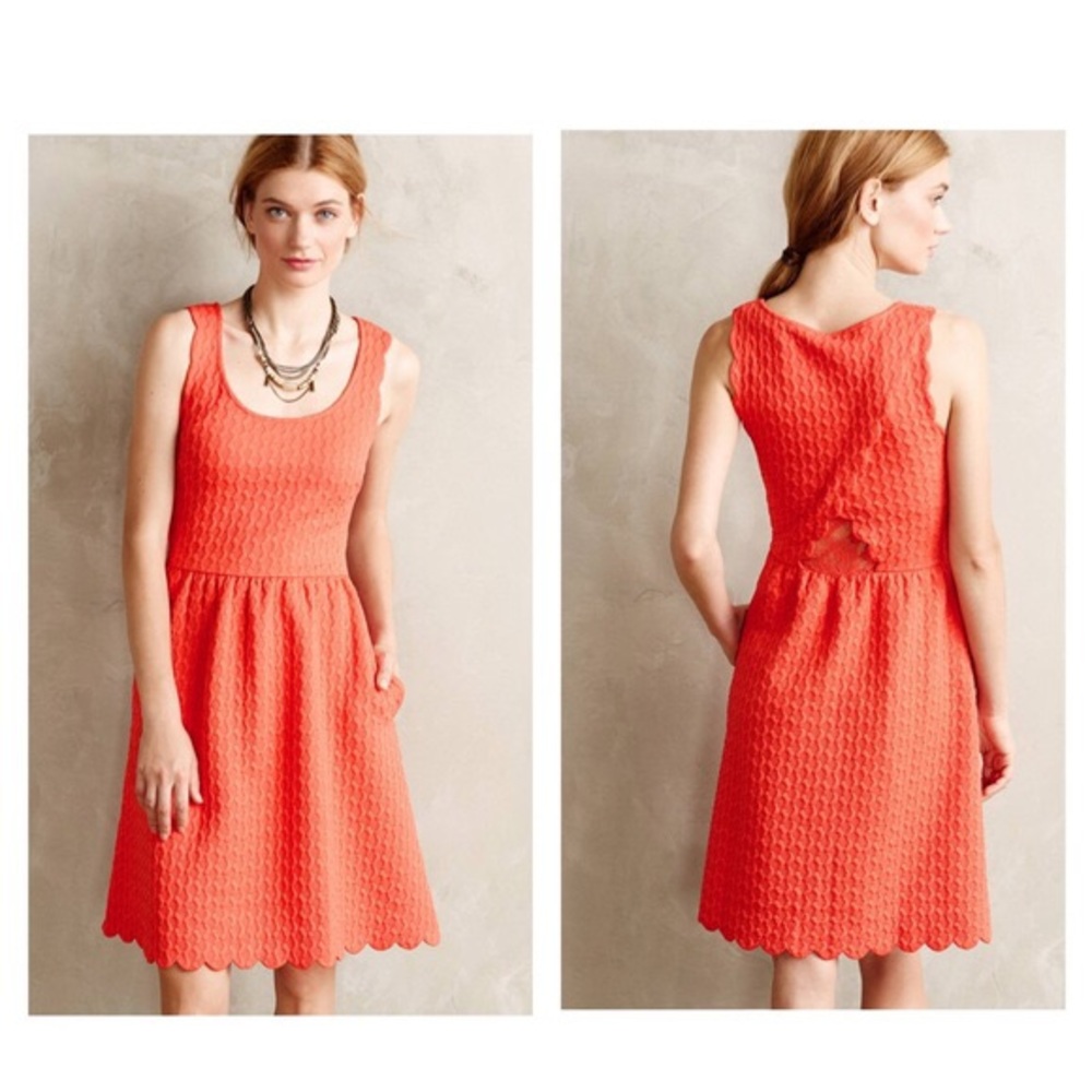 New dress from Anthropologie