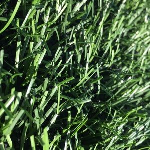 Meet your Posher, Hadley