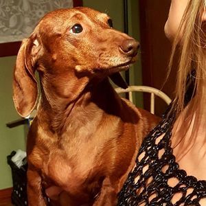 Meet your Posher, Nelle