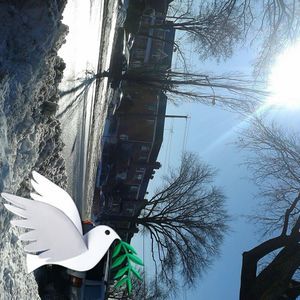 Meet your Posher, Nasrin