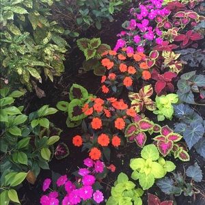 Meet your Posher, Cameron